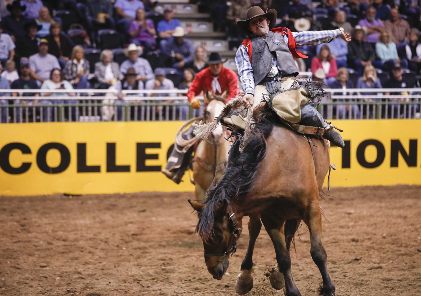 CNFR - Tuesday